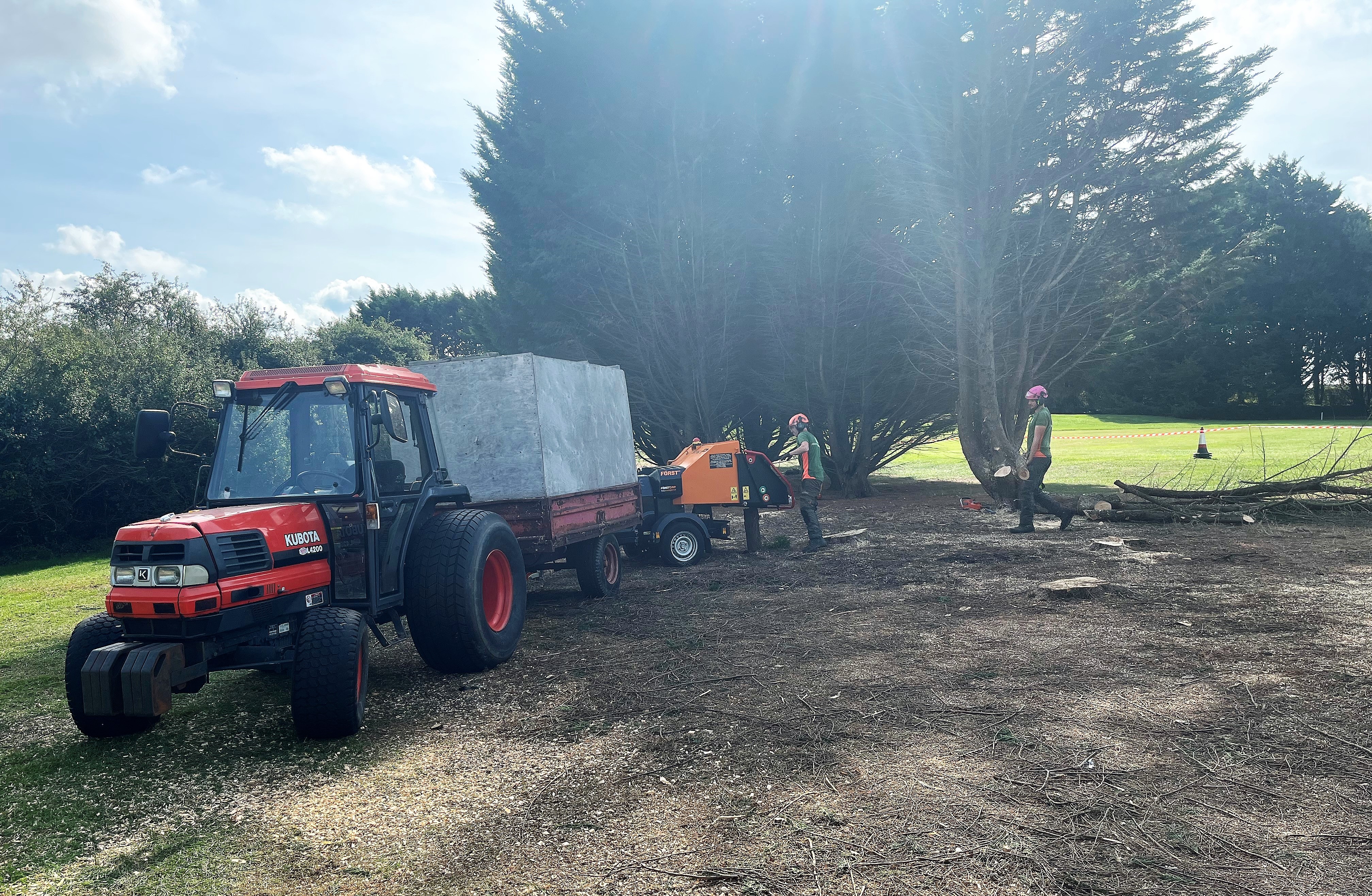 Dorset Treeworx Ltd | Commercial tree maintenance clearance by professional tree surgeons in Weymouth, Portland, Dorchester, South Dorset  - tree care service, tree removal service, hedge trimming service, hedge removal service, stump grinding service