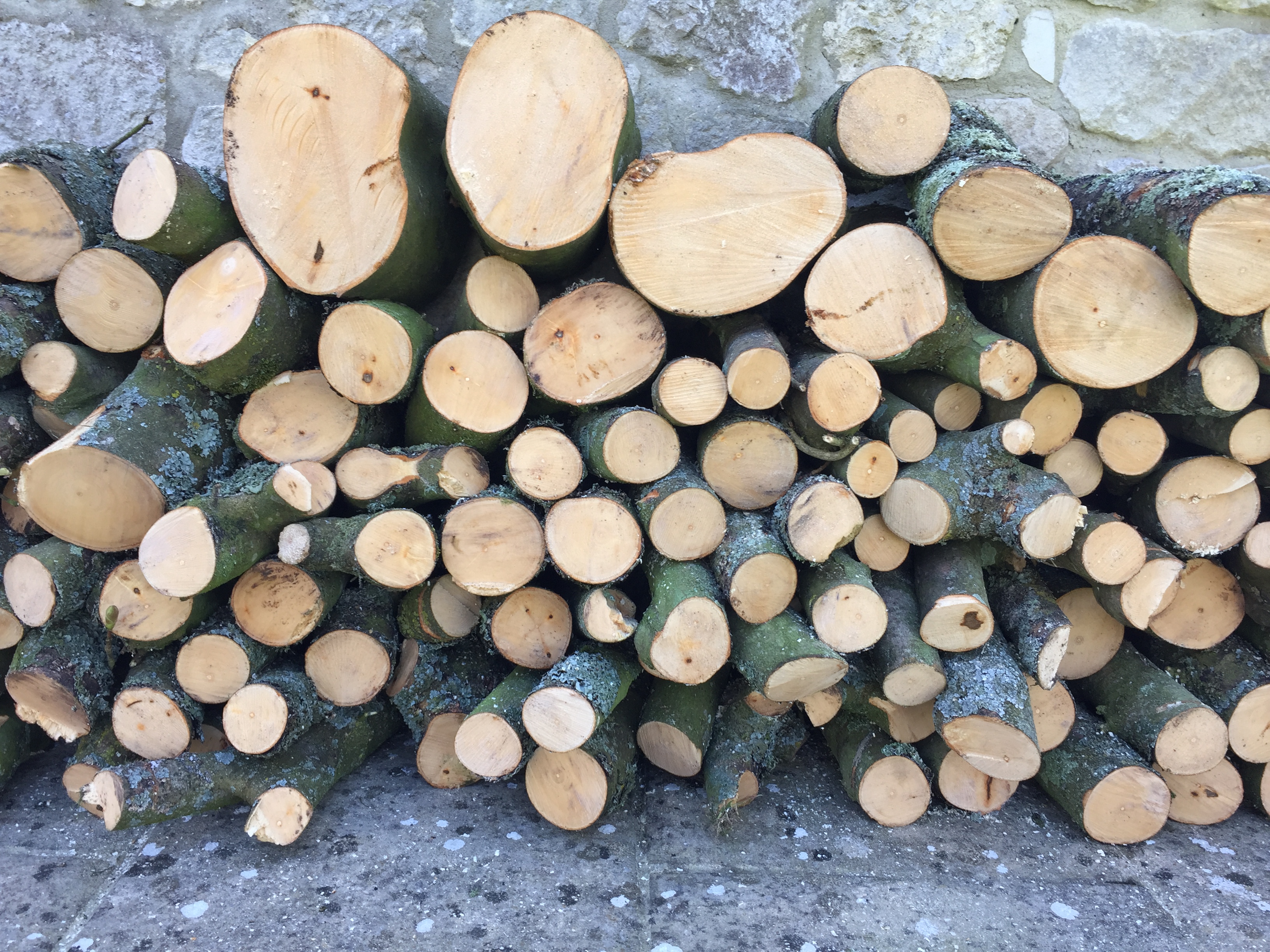 Dorset Treeworx Ltd | Weymouth Tree Surgeon. Dorchester Tree Surgeon, Portland Tree Surgeon, Bridport tree surgeon, portesham tree surgeon | Dorset Treeworx Gallery Page - photo of a stack of tree wood, firewood, logs with cut ends showing making a beautiful pattern.