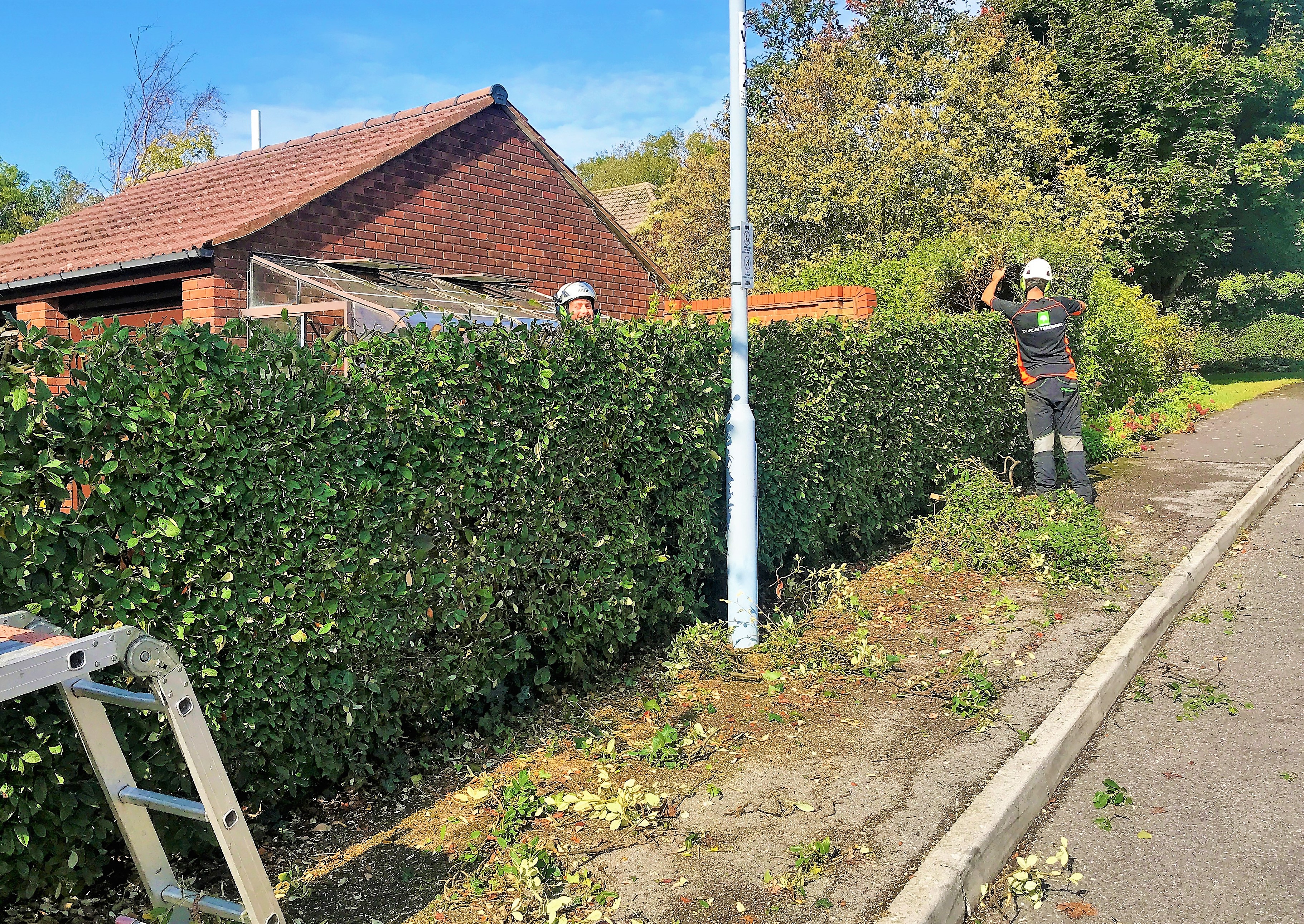 Hedge maintenance services covering hedge trimming, hedge removal, hedge reduction, hedge stump removal in Weymouth Dorchester Portland around south Dorset - Dorset Treeworx Ltd