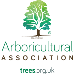 Dorchester trees services at Dorset Treeworx Ltd - Proud Arb Association Members