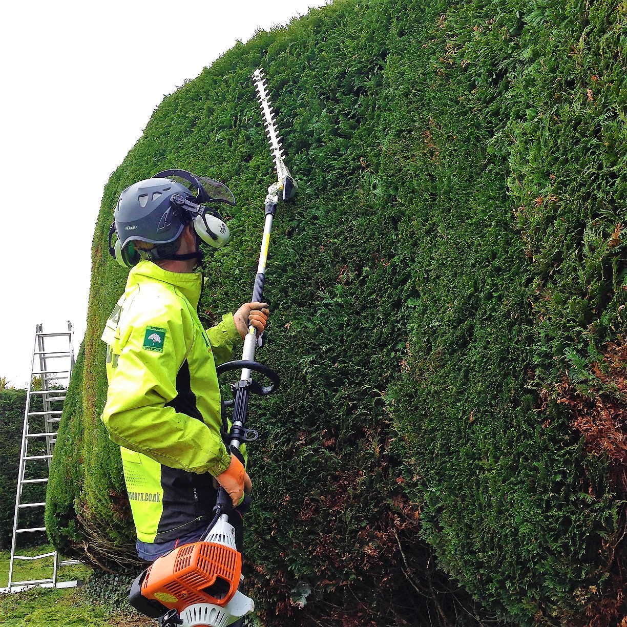 Hedge Trimming Weymouth, Dorchester, Portland in Dorset for private and commercial customers - hedge maintenance, hedge removal, hedge planting, hedge stump grinding services