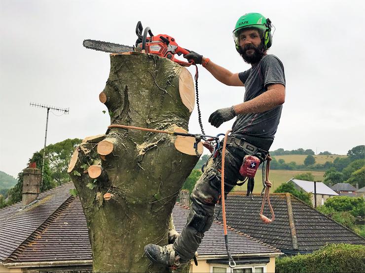 Weymouth tree felling, tree removal in Weymouth, Dorchester, Portland in Dorset - Tree removal services, tree felling services, hedge removal services, stump grinding services in Weymouth, Dorchester, Portland, Dorset.